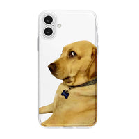 Golden Shuffle Case (iPhone 16 Plus)