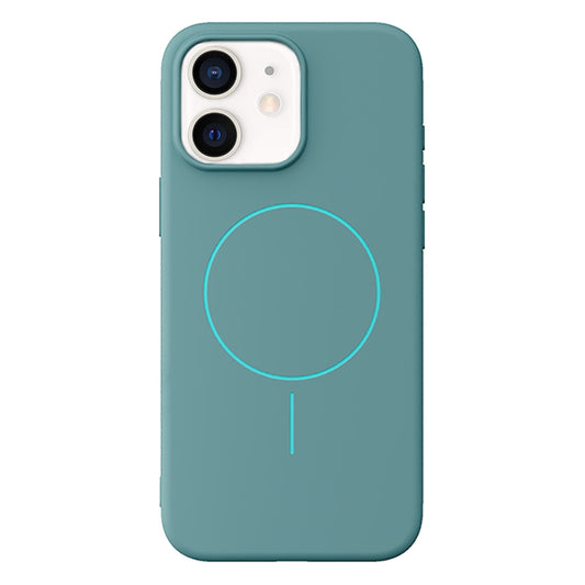 Mint MagSafe Case (iPhone 12)